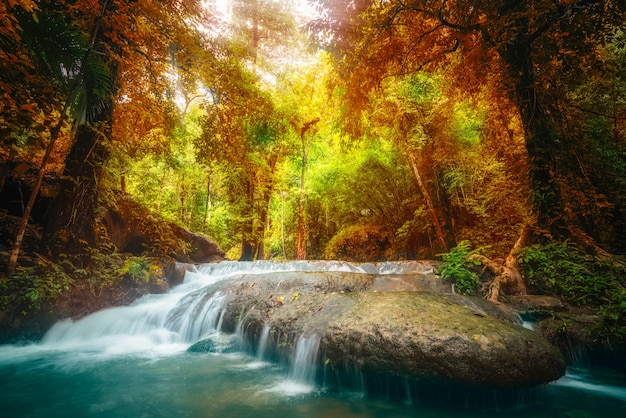 Cachoeira na selva profunda.