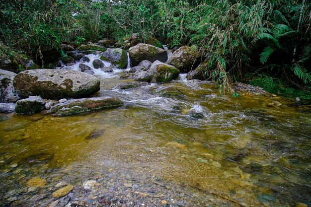 Foto cachoeira na selva