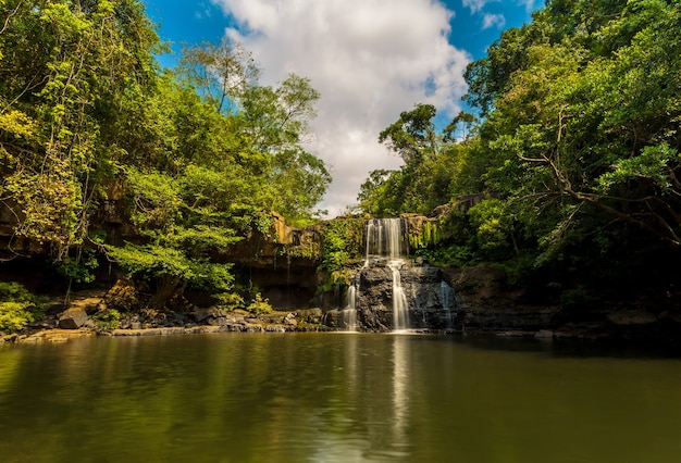 Foto cachoeira na selva