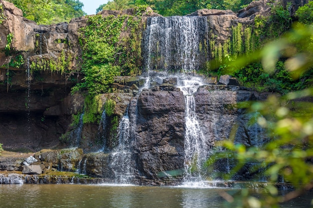 Cachoeira na selva