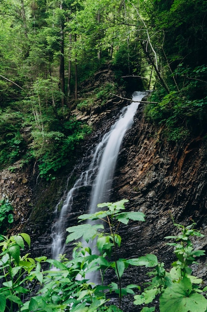 Cachoeira nas montanhas em um fundo de floresta verde Cachoeira alta com água em um fundo de rochas e árvores jovens Vista da cachoeira na floresta