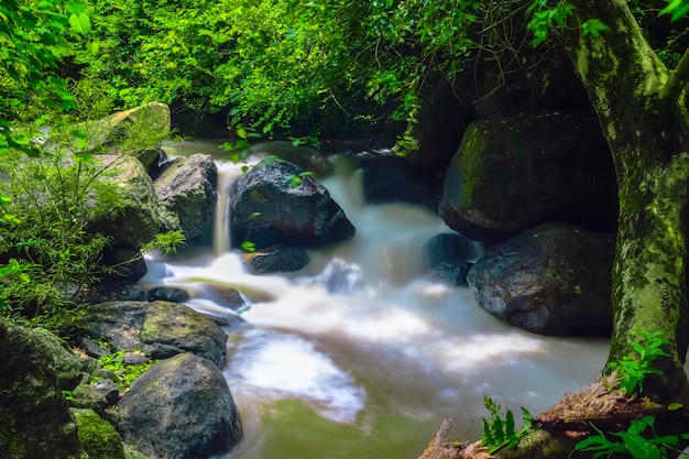 Cachoeira nas montanhas