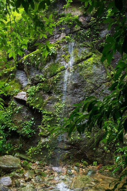 Cachoeira natural