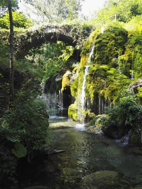 Foto cachoeira no meio das árvores na floresta