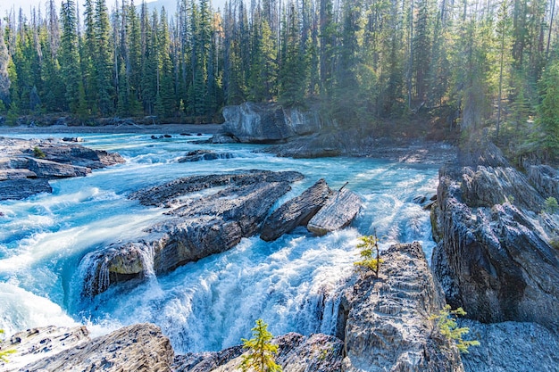 Cachoeira no parque nacional em British Columbia Canadá