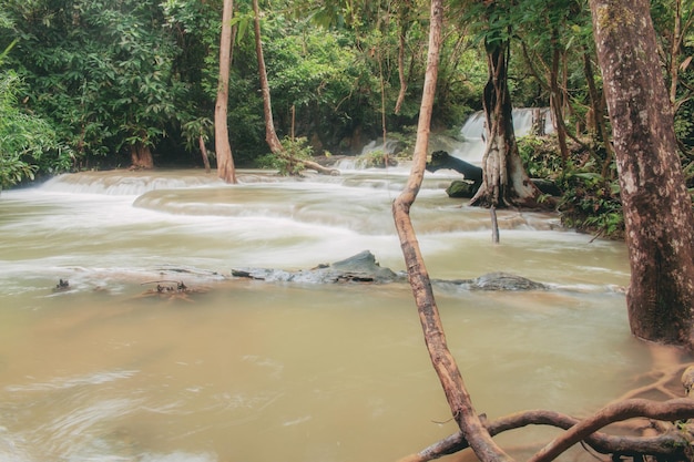 Cachoeira no parque