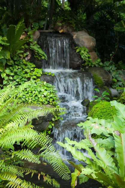 Cachoeira no parque.