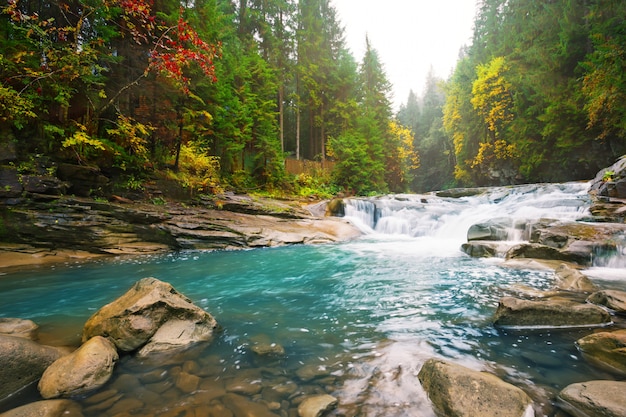 Cachoeira no rio da montanha na floresta