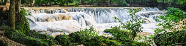 Cachoeira panorâmica em uma floresta