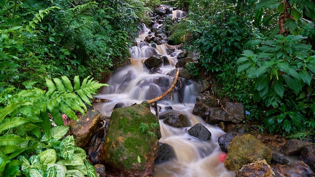 Cachoeira pequena, fluxo de água em uma área montanhosa, bogor, indonésia