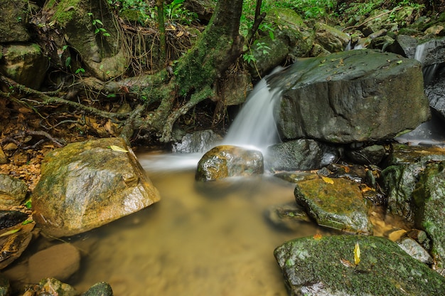 Cachoeira pequena na selva. evergreen floresta na tailândia