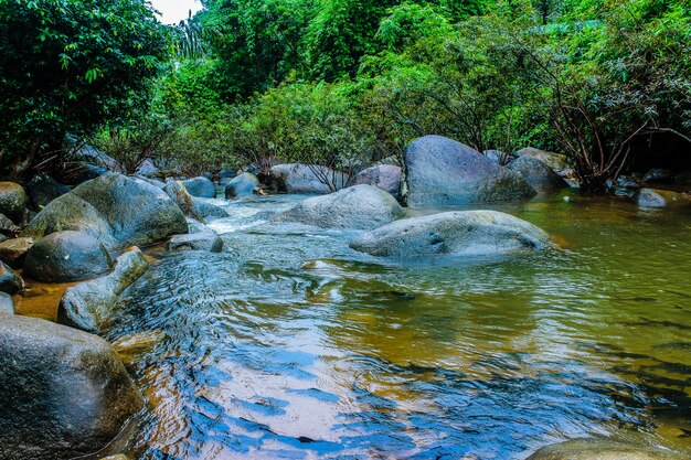 Cachoeira Phlio