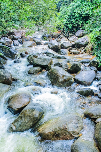 Cachoeira Phlio