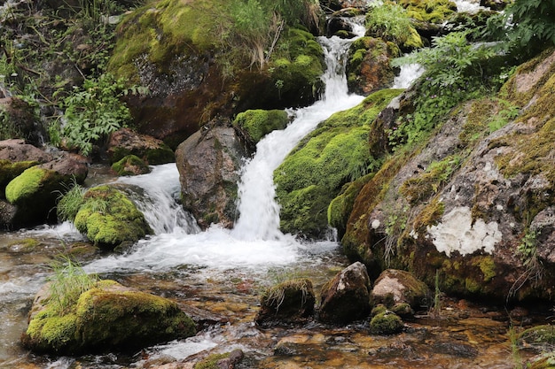 Cachoeira que flui através de rochas cobertas de musgo