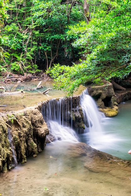 Cachoeira que flui na floresta tropical