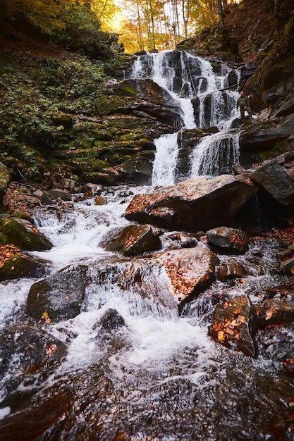 Cachoeira shupit com folhas de outono montanhas dos cárpatos ucrânia trilhas para caminhadas e caminhadas no cume de borzhava área rural das montanhas dos cárpatos no outono