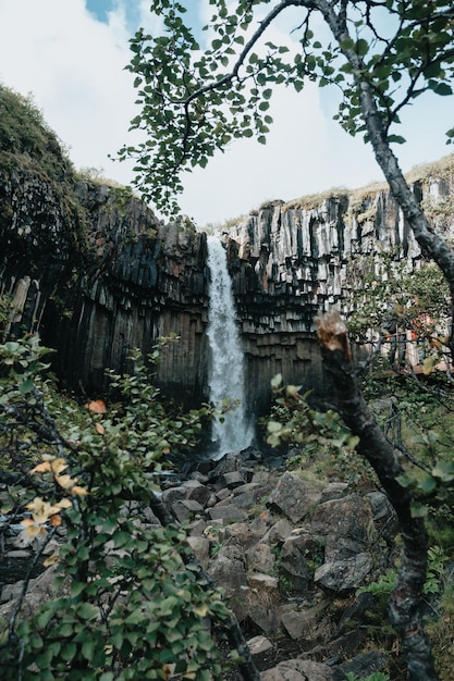 Cachoeira Svartifoss na Islândia durante um dia mal-humorado Viaje no conceito de van estilo de viagem por estrada Visite a Islândia e o conceito de países do norteCopiar imagem do espaço