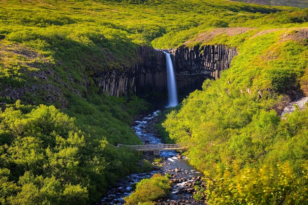 Cachoeira Svartifoss no Parque Nacional Vatnajokull Islândia