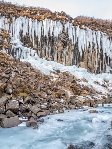 Cachoeira Svartifoss um dos marcos únicos na Islândia, localizado no parque nacional de Vatnajokull