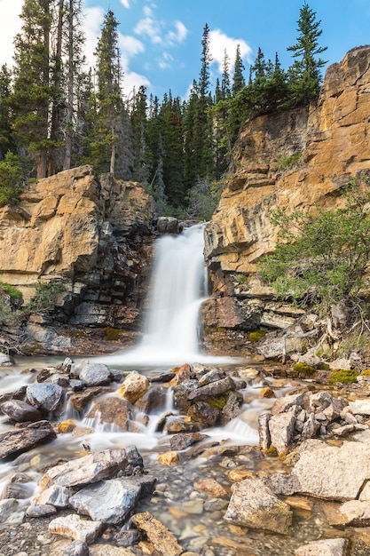 Cachoeira tangle creek no parque nacional de jasper canadá