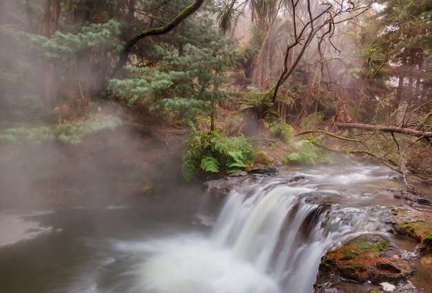 Cachoeira térmica em kerosene creek, rotorua, nova zelândia. paisagens naturais incomuns