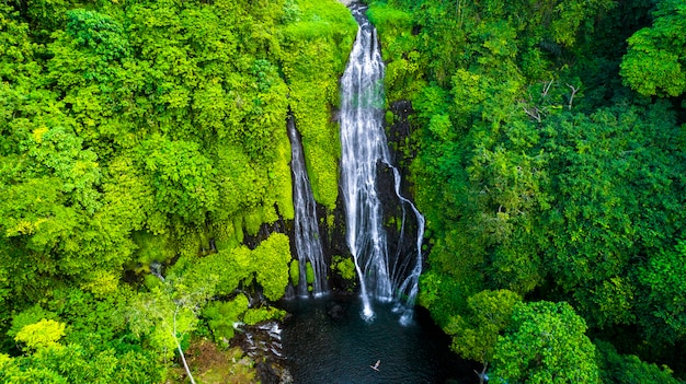 Cachoeira tropical poderosa na floresta verde.