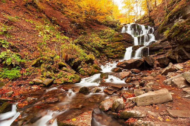 Cachoeira ukpaine entre as rochas cobertas de musgo corredeiras bonitas da paisagem em um rio de montanhas na floresta de outono nas montanhas dos cárpatos ao pôr do sol silver stream no parque nacional shypit carpat pilipets