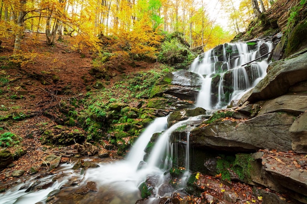 Cachoeira Ukpaine entre as rochas cobertas de musgo Corredeiras bonitas da paisagem em um rio de montanhas na floresta de outono nas montanhas dos Cárpatos ao pôr do sol Silver stream no Parque Nacional Shypit Carpat Pilipets