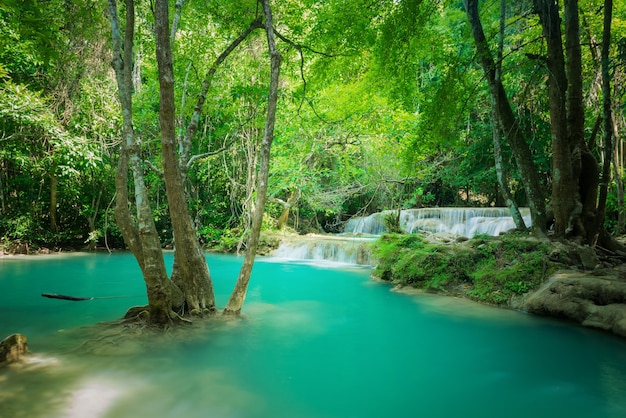 Cachoeira verde maravilhosa e agradável para relaxar