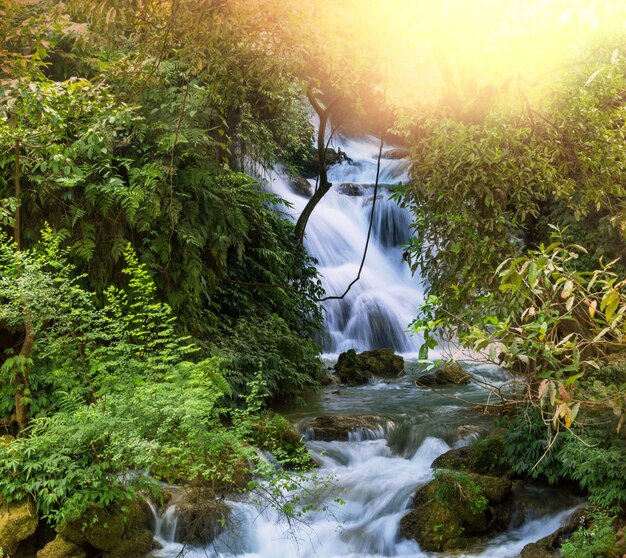 cachoeira