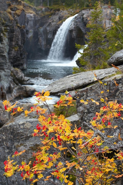 cachoeira