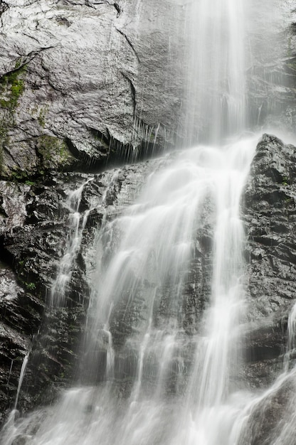 cachoeira