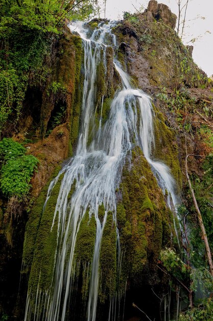 cachoeira