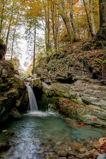 cachoeira