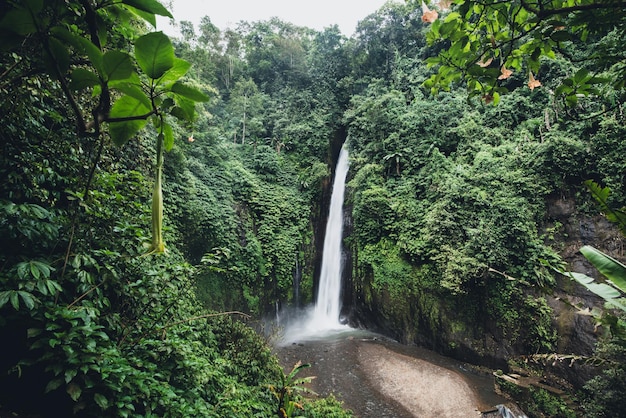 cachoeira