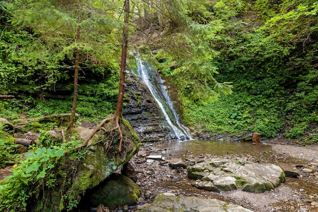 Cachoeiras da floresta nas montanhas