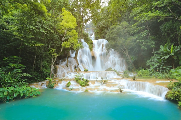 Foto cachoeiras de kuang si em luang prabang laos. exposição longa. bela cachoeira na selva selvagem