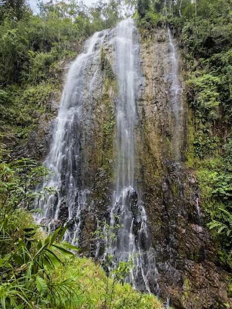 Cachoeiras nas montanhas do Panamá recursos hídricos fauna e flora