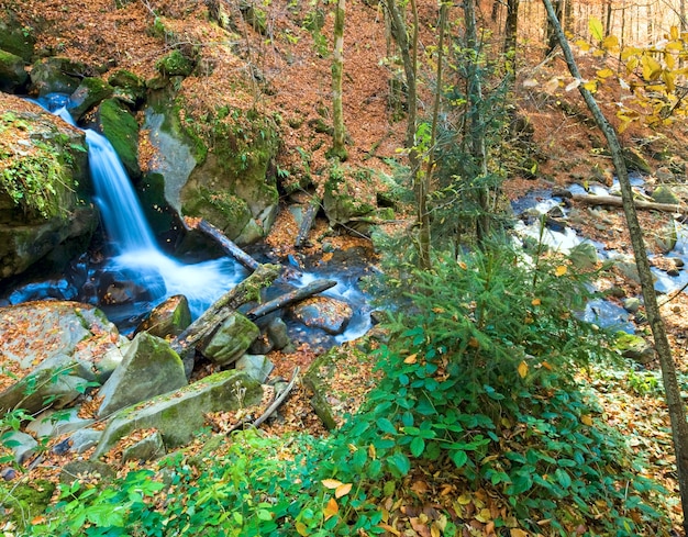 Cachoeiras no riacho rochoso, passando pela floresta de montanha de outono