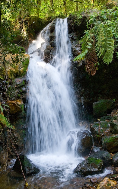 Cachoeiras pitorescas da floresta no Parque Nacional Bwindi