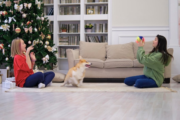 Cachorrinho corgi com duas adolescentes brincando e se divertindo árvore de Natal no fundo foco seletivo suave