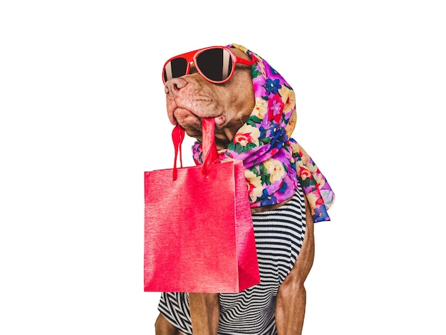 Cachorrinho fofo e sacola de compras Preparação de vendas