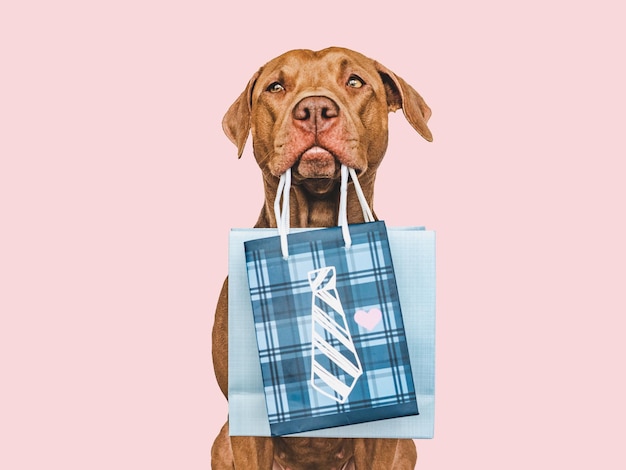 Cachorrinho fofo e sacola de compras Preparação de vendas
