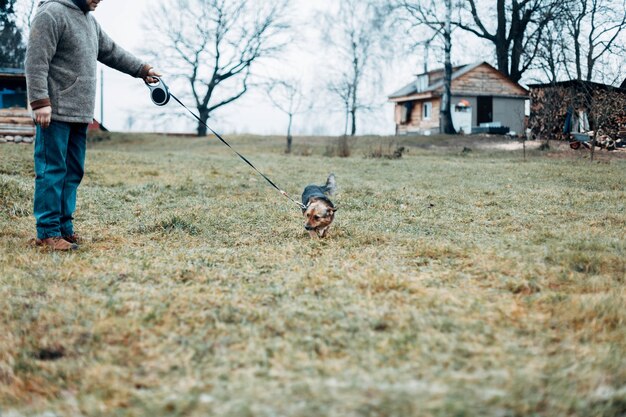 cachorrinho fofo para passear no frio