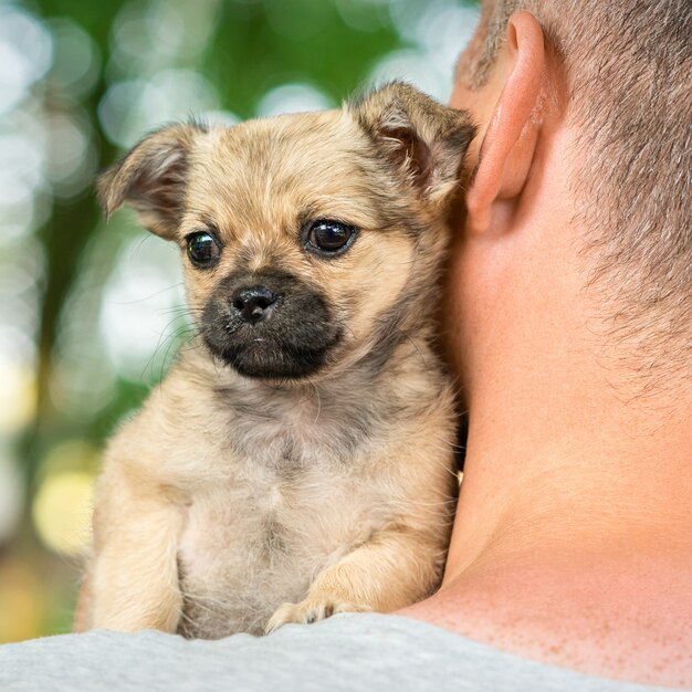 Cachorrinho sentado no ombro