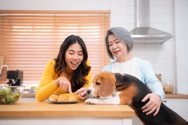 Cachorro Beagle com mãe e filha no fim de semana estão cozinhando juntos na cozinha da casa