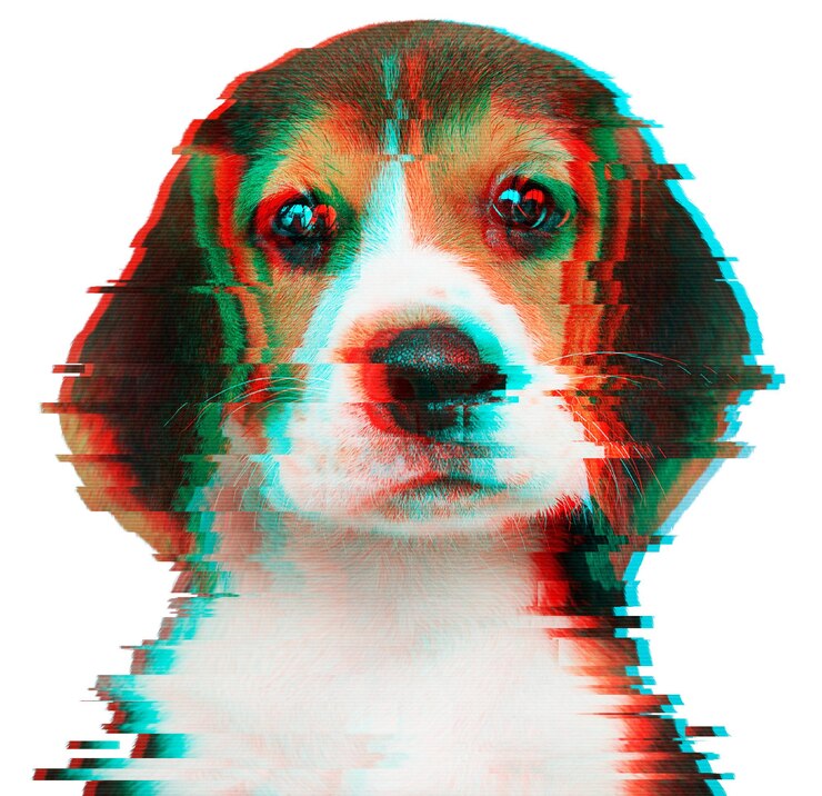 Foto cachorro beagle com sobreposição de adesivo de efeito glitch
