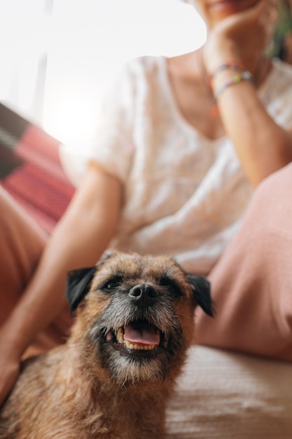 Foto cachorro com dona latina