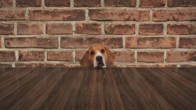 Cachorro curioso espiando a mesa de baixo. renderização em 3d