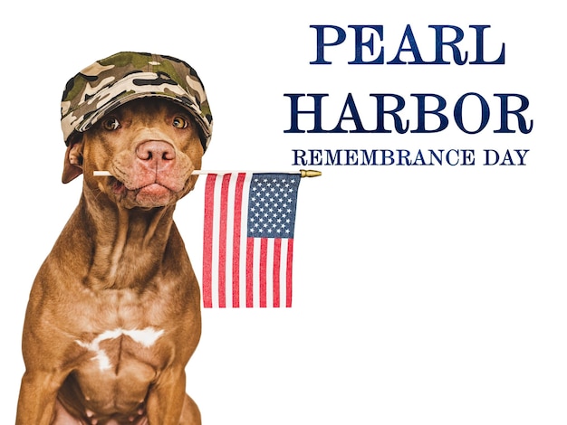 Cachorro del día del recuerdo de Pearl Harbor y bandera estadounidense